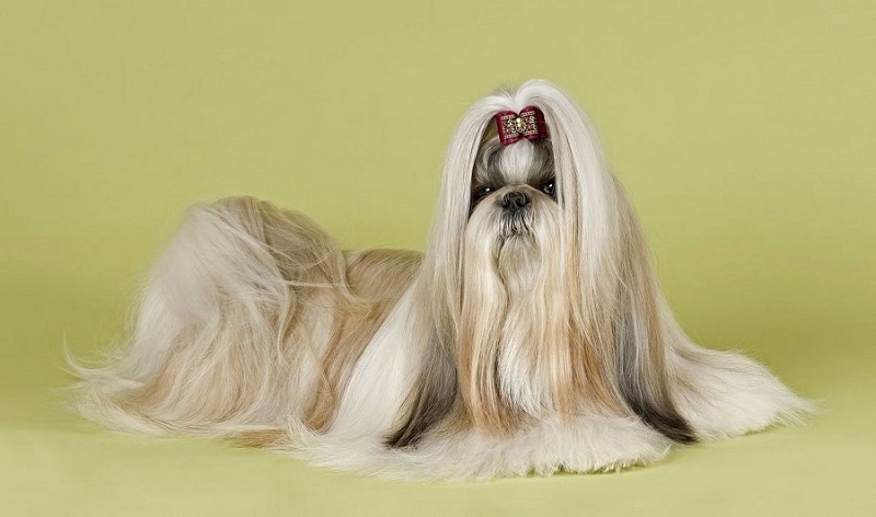 <span style="font-style: italic;">Спа уход</span>